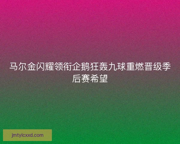 马尔金闪耀领衔企鹅狂轰九球重燃晋级季后赛希望
