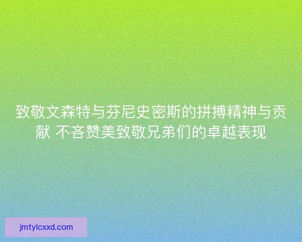 致敬文森特与芬尼史密斯的拼搏精神与贡献 不吝赞美致敬兄弟们的卓越表现
